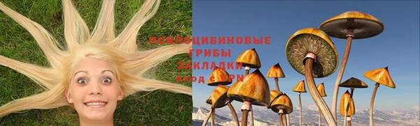 молекула духа Аркадак