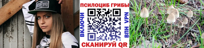 Галлюциногенные грибы MAGIC MUSHROOMS  кракен ТОР  Шагонар 